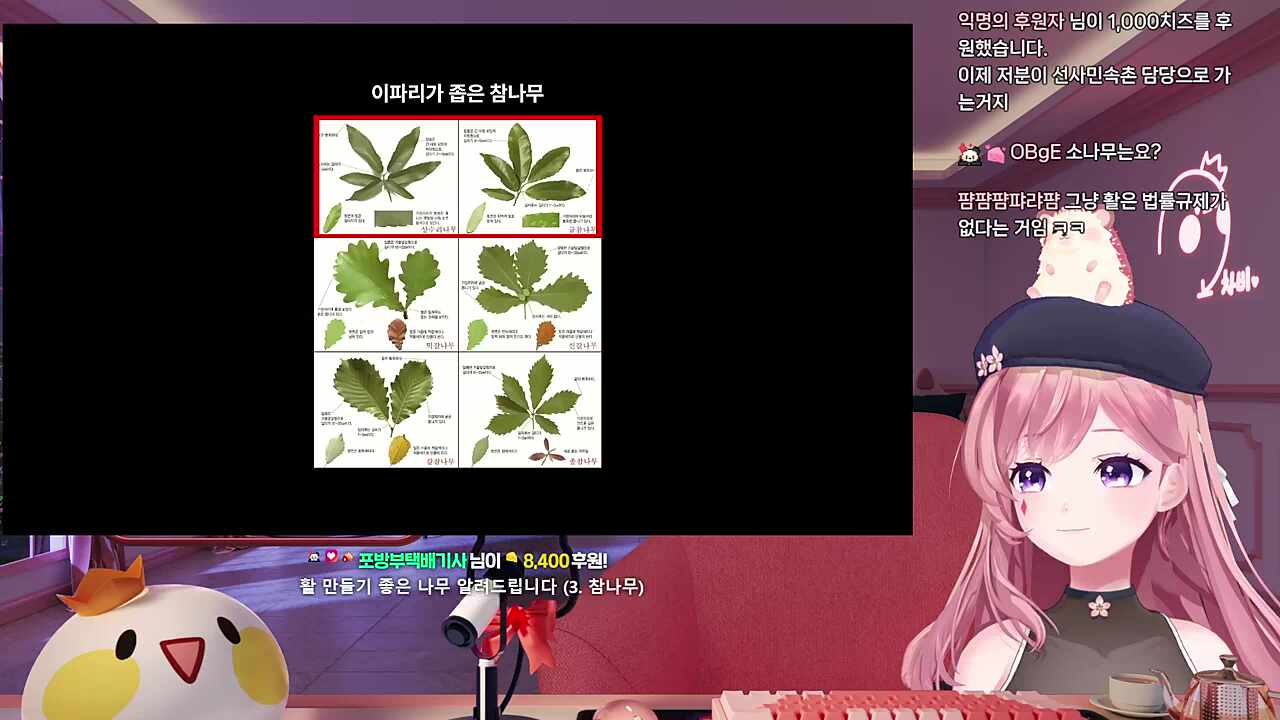 소나무 꽃가루만