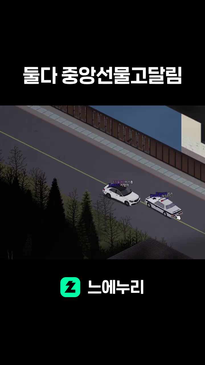 둘다 중앙선물고달림