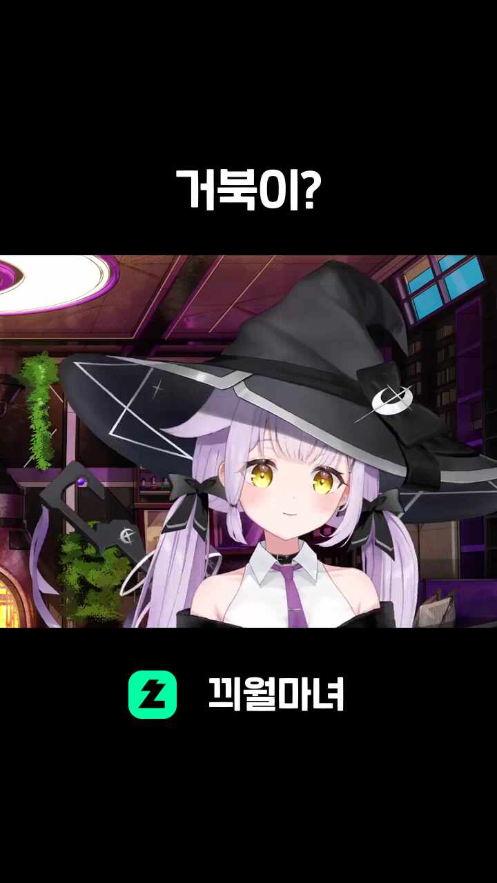 거북이?