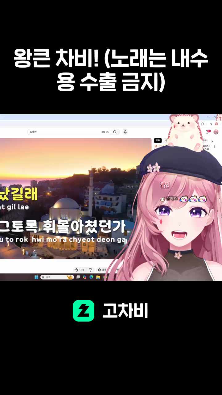 왕큰 차비! (노래는 내수용 수출 금지)