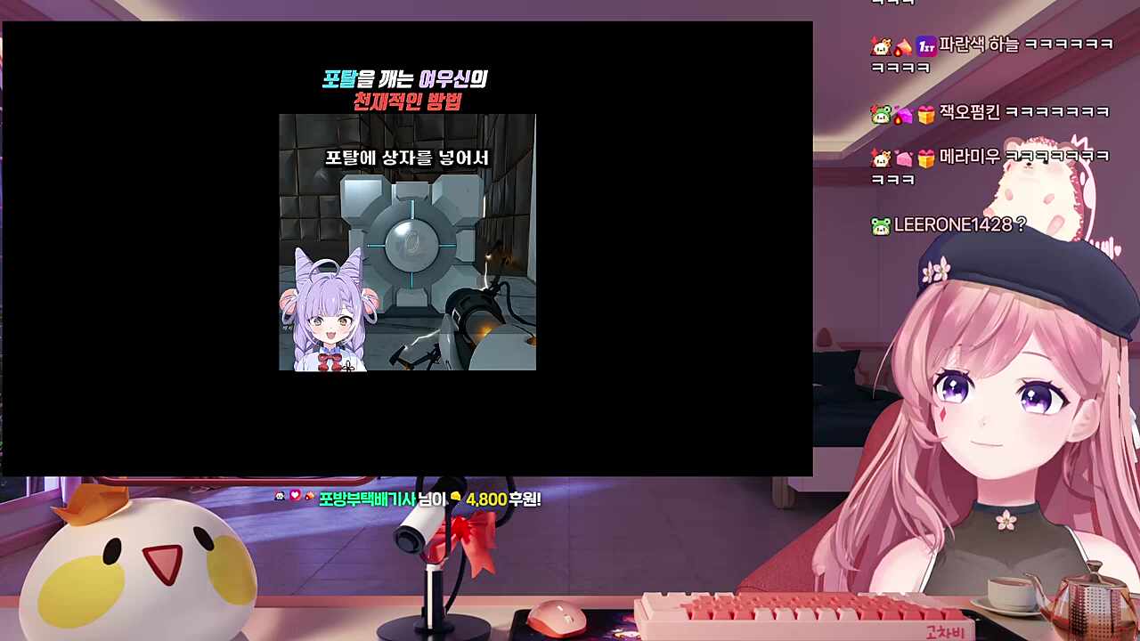부키님 클립을 보는 차비님