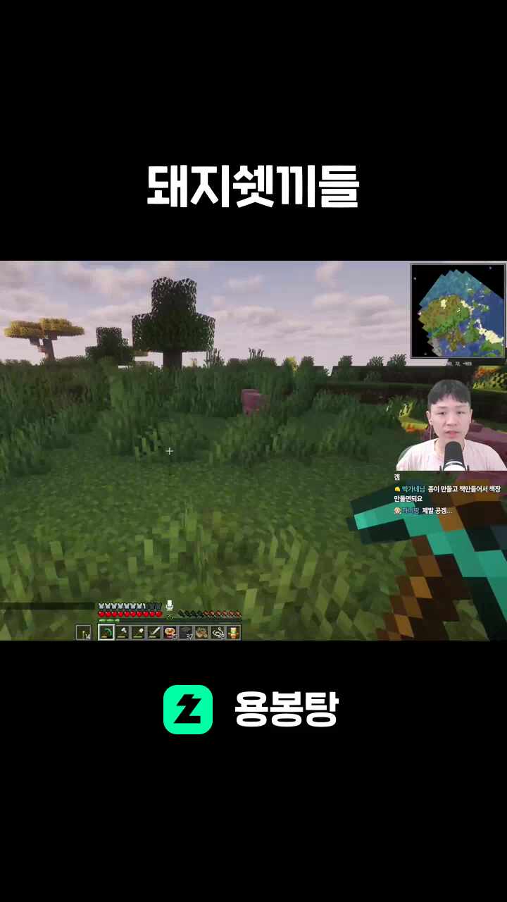 돼지쉣끼들