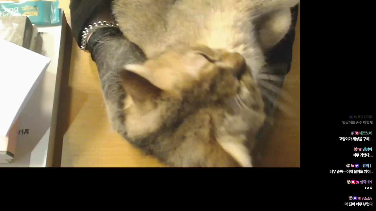 아 제발ㅜㅠㅠㅠㅠㅠㅠㅠㅠ ㄱㅇㅇ