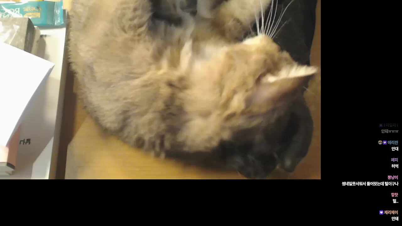 아 너무 힐링이야