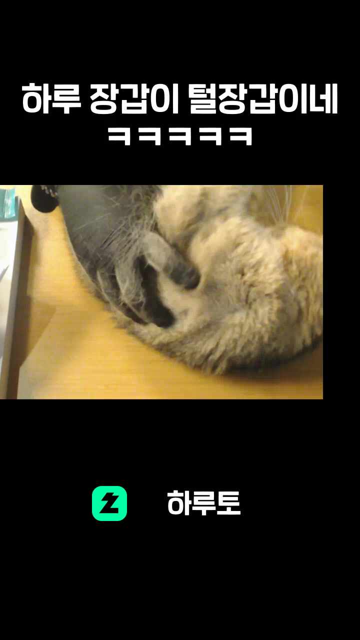 하루 장갑이 털장갑이네 ㅋㅋㅋㅋㅋ