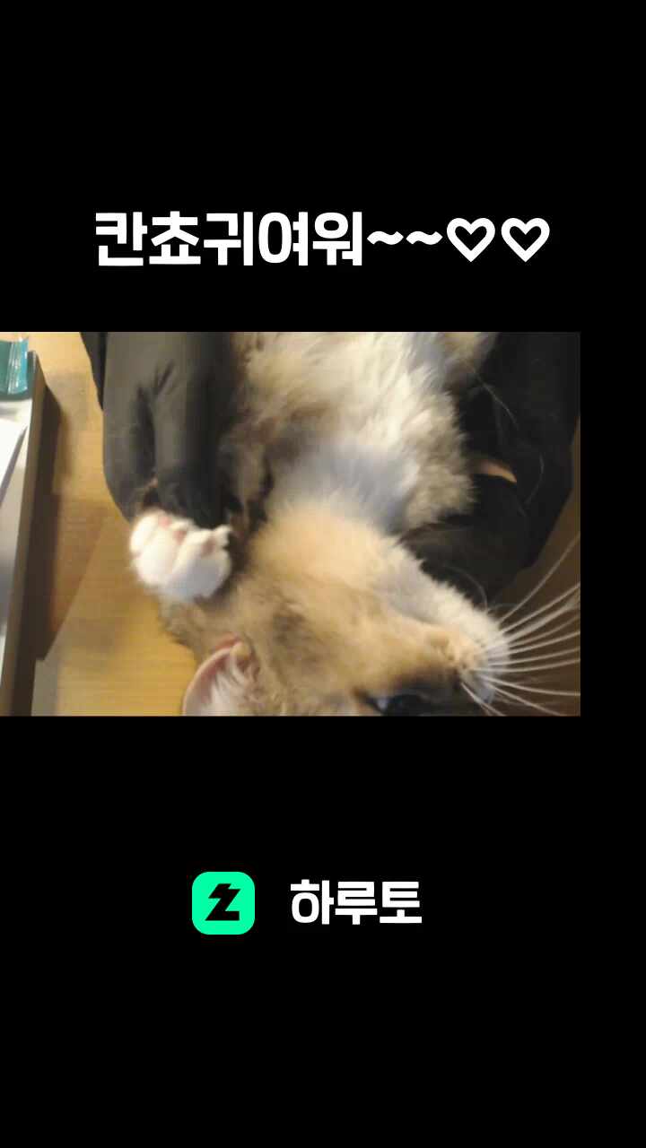 칸쵸귀여워~~♡♡