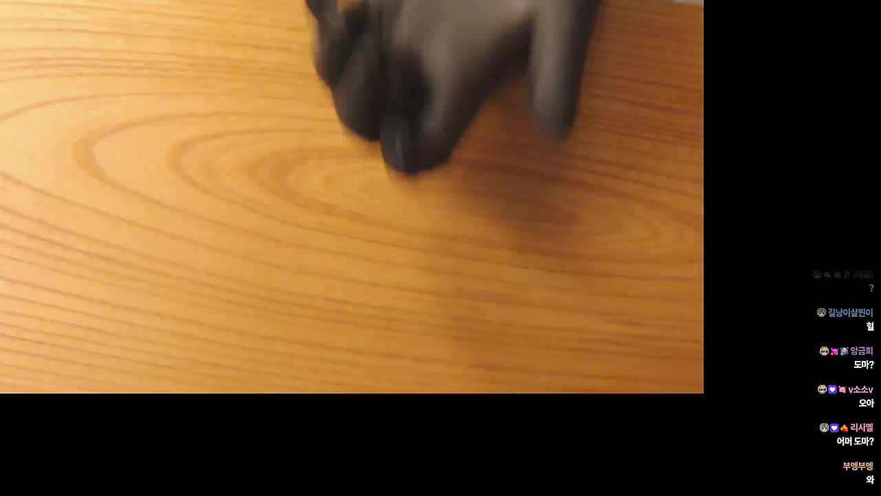 의도치 않게 하루의 요리뱅을 도구들을 준비해준 햄찌들 ㅋㅋㅋㅋ