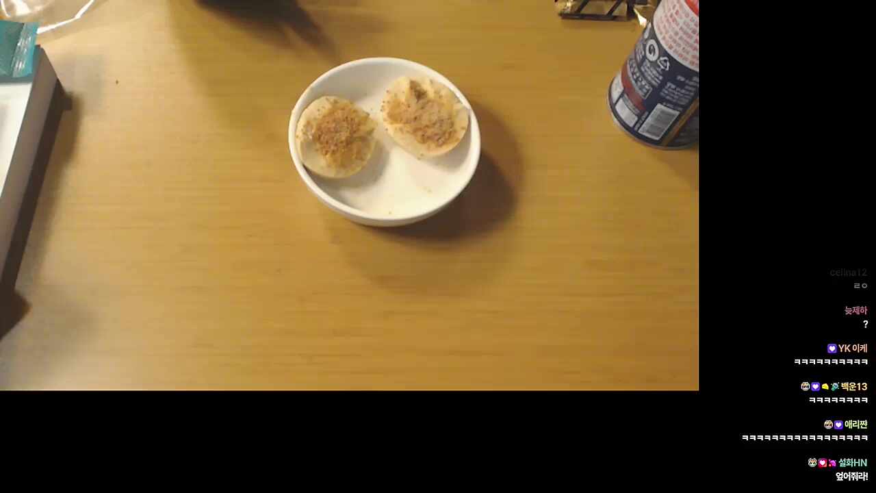 채팅창에 나타난 루쌤🐣