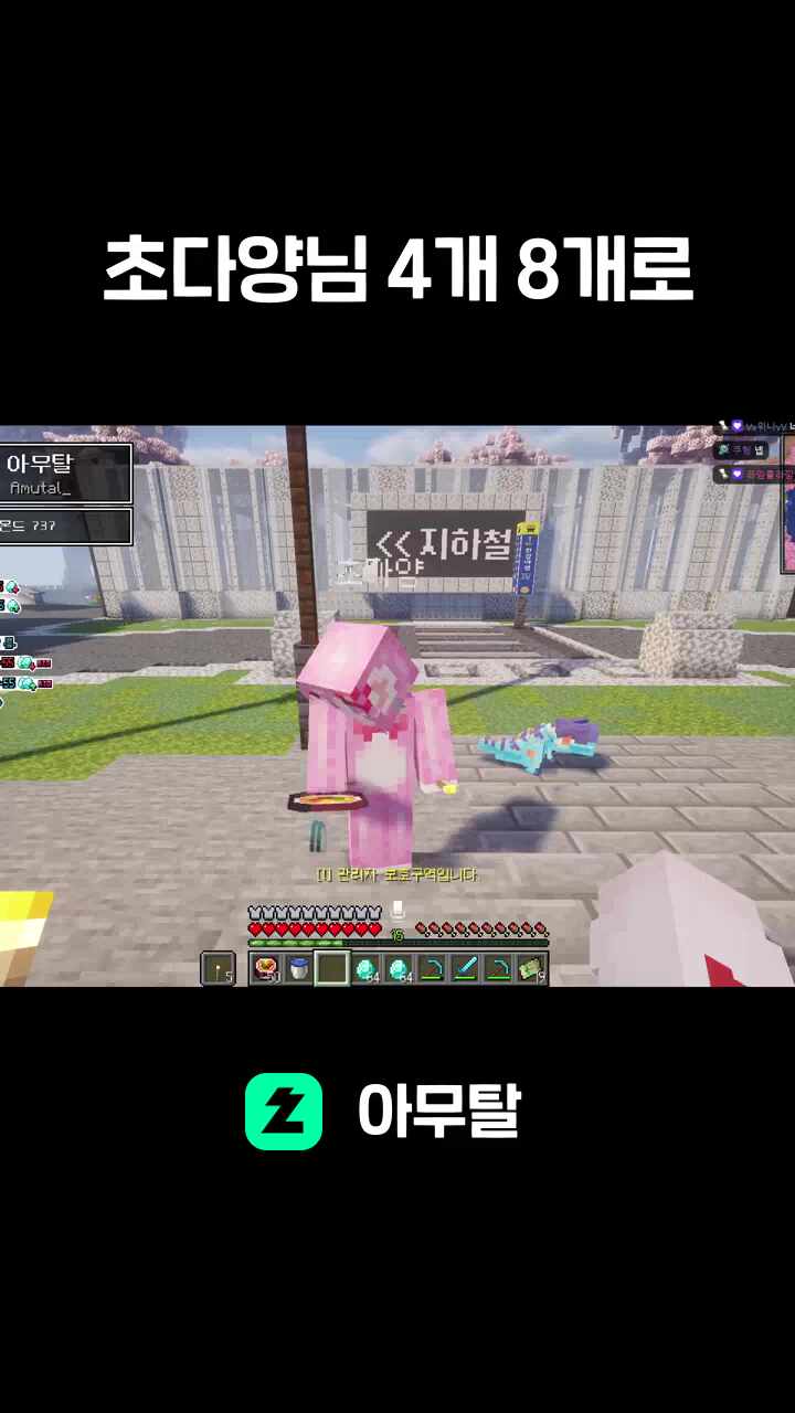 초다양님 4개 8개로