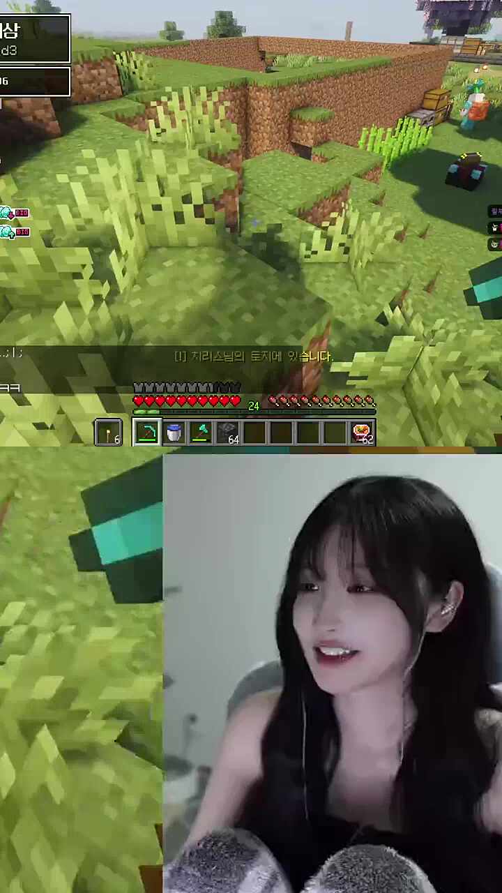 지뢰계 디삼