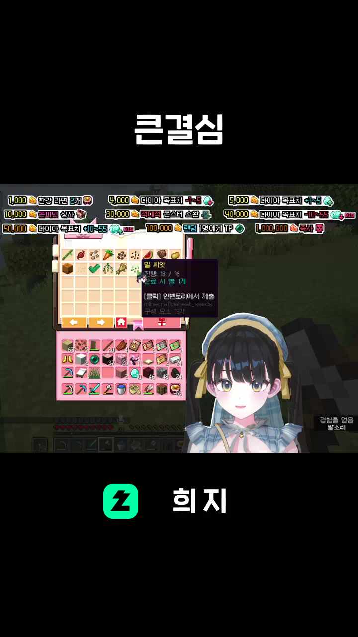 큰결심