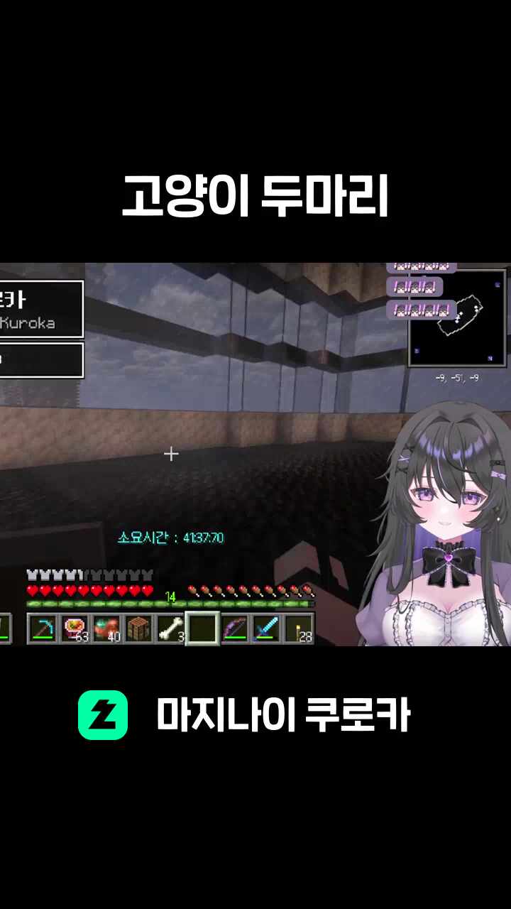 고양이 두마리