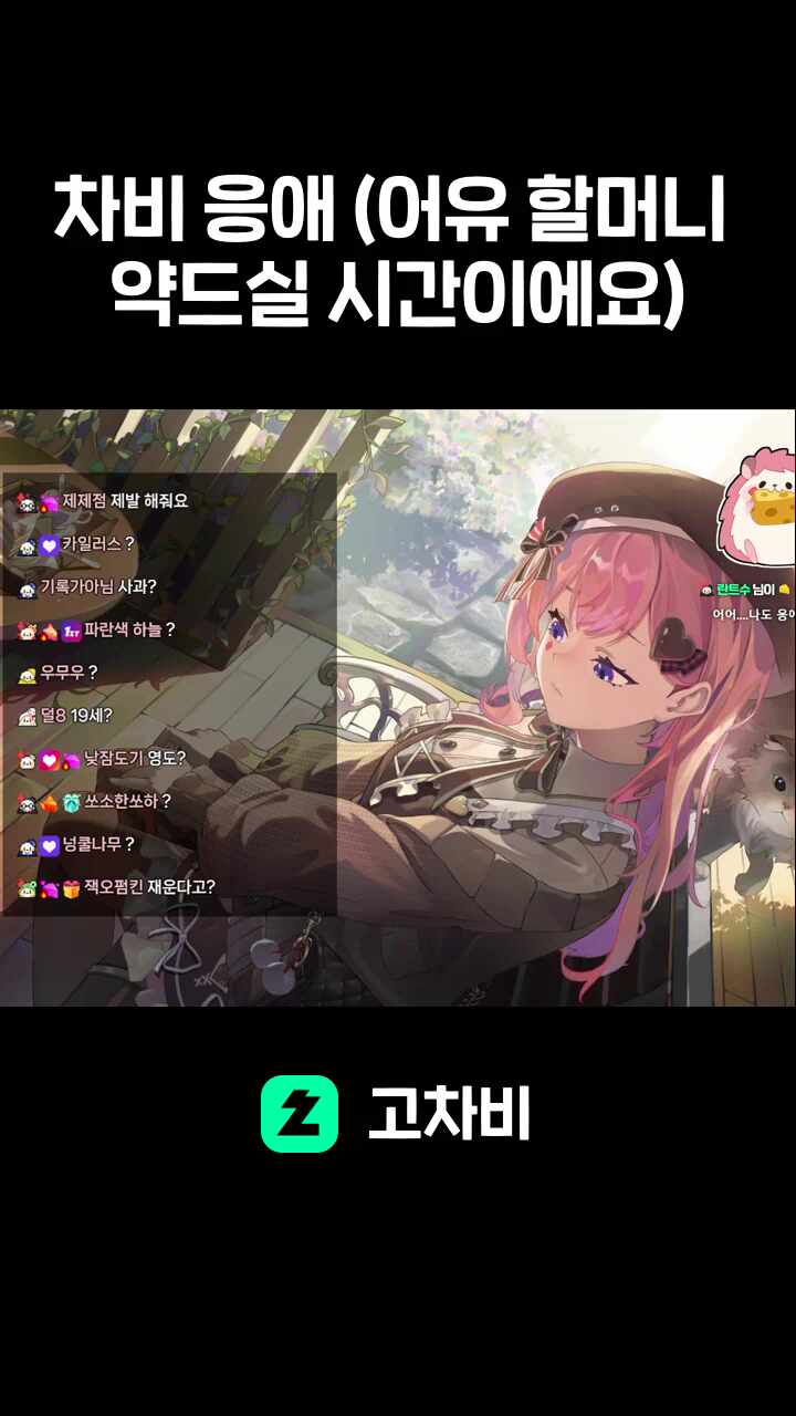 차비 응애 (어유 할머니 약드실 시간이에요)