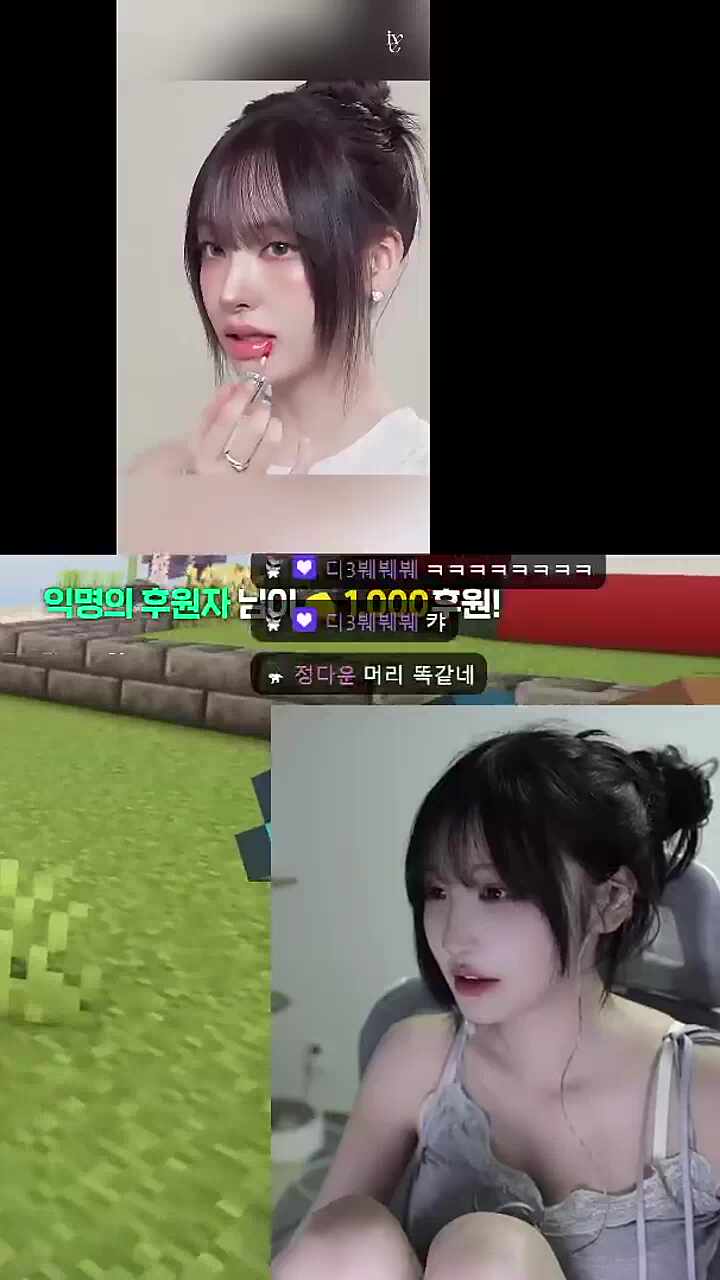 치지직 리즈님