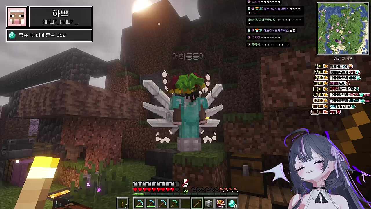 둥아 나 레벨이 29야ㅠㅠ