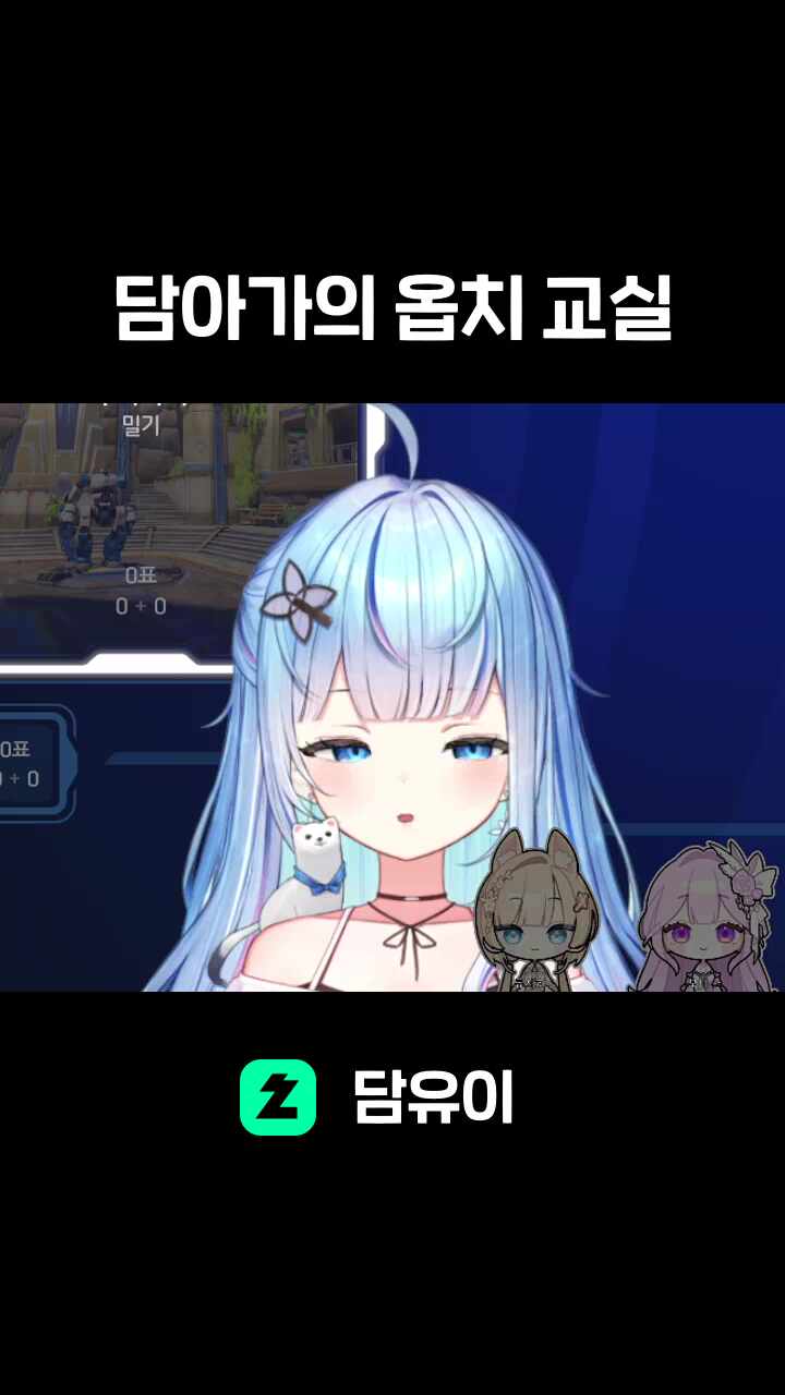 담아가의 옵치 교실