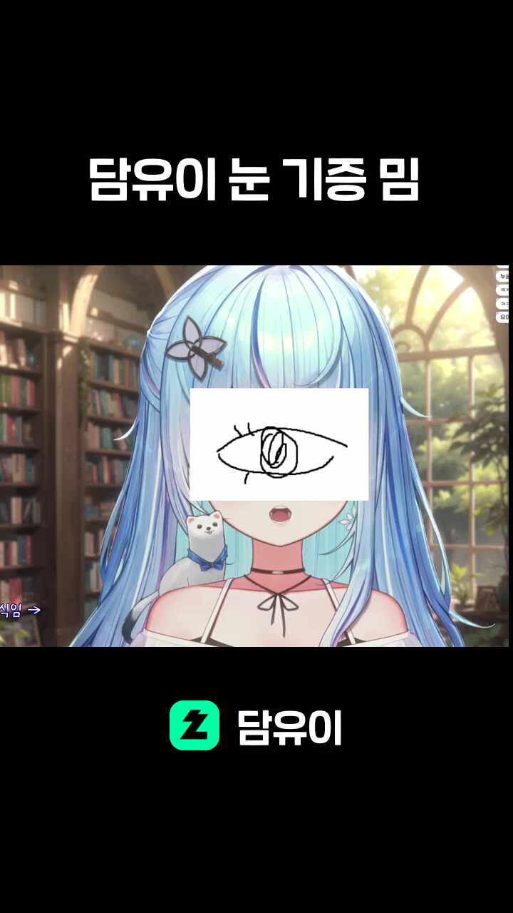 담유이 눈 기증 밈