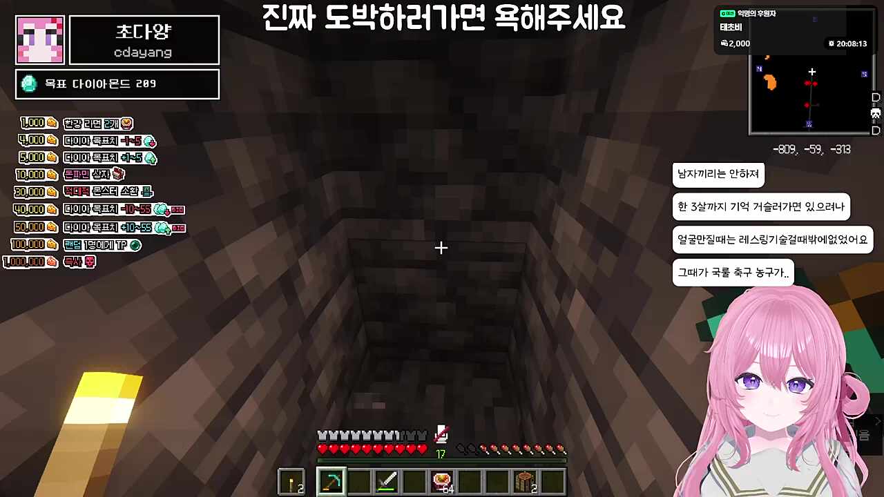 한강서버에서 허위신고를 하는 초다양