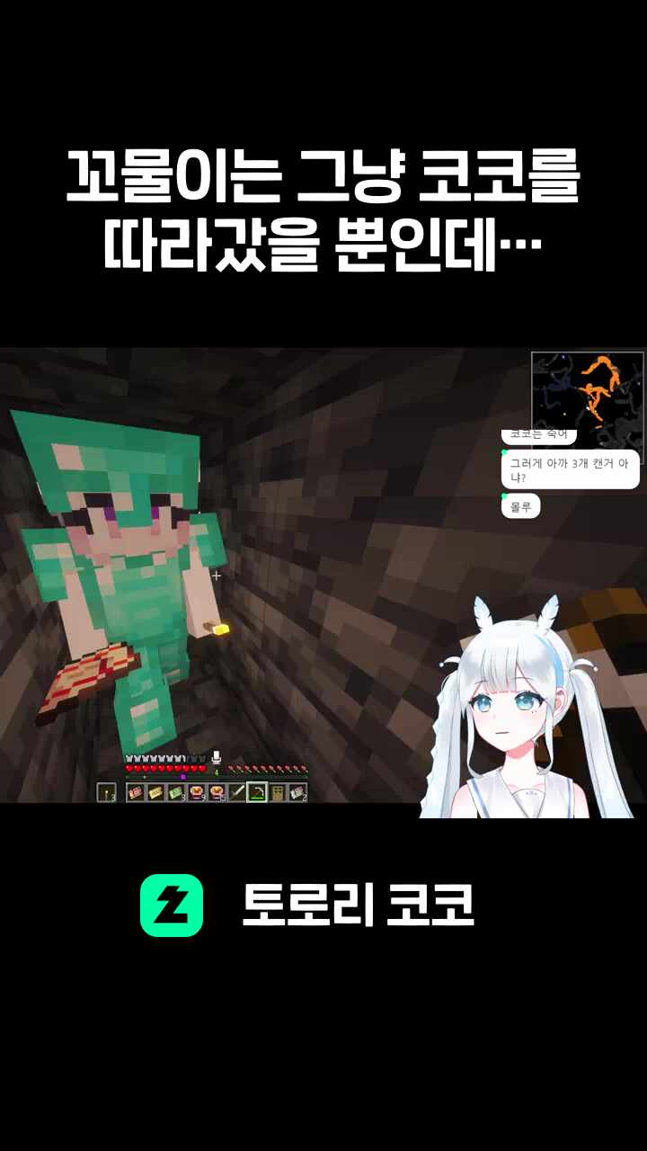 꼬물이는 그냥 코코를 따라갔을 뿐인데ㅠ