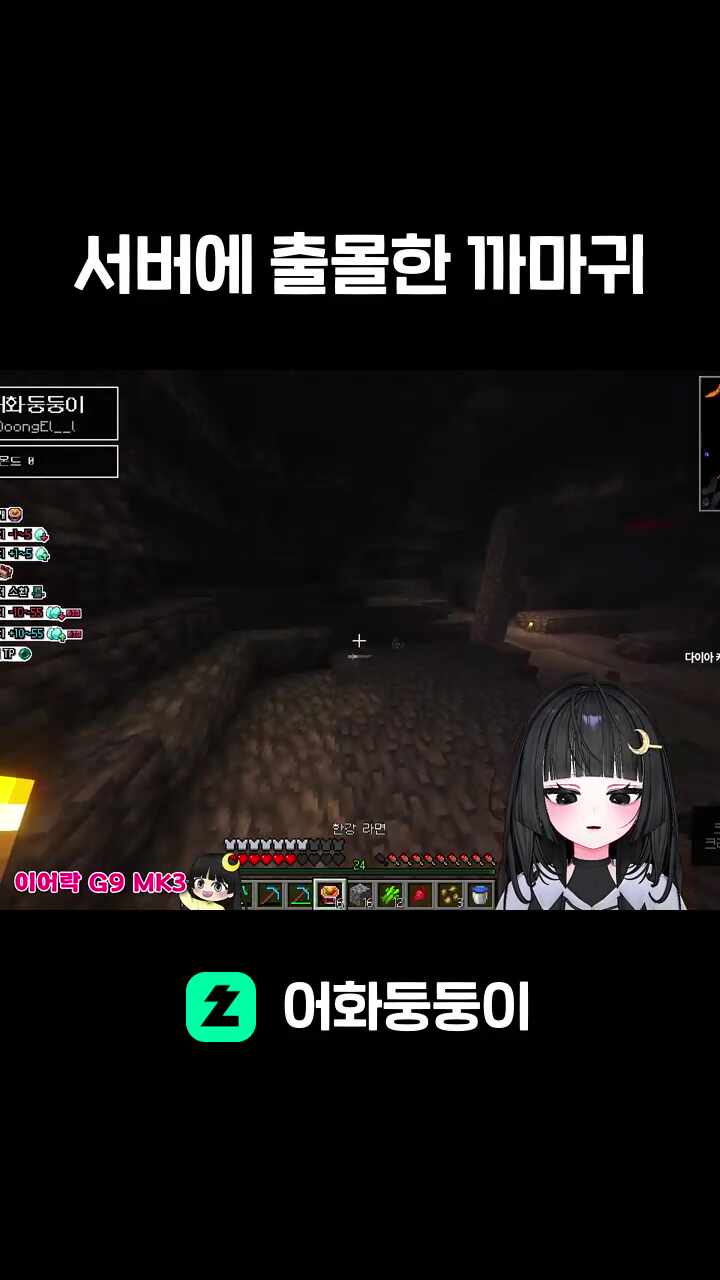 서버에 출몰한 까마귀