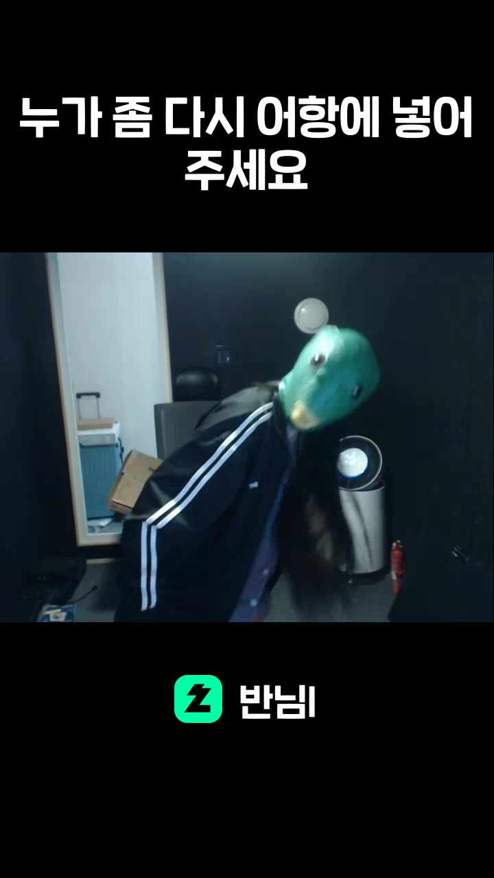 누가 좀 다시 어항에 넣어주세요