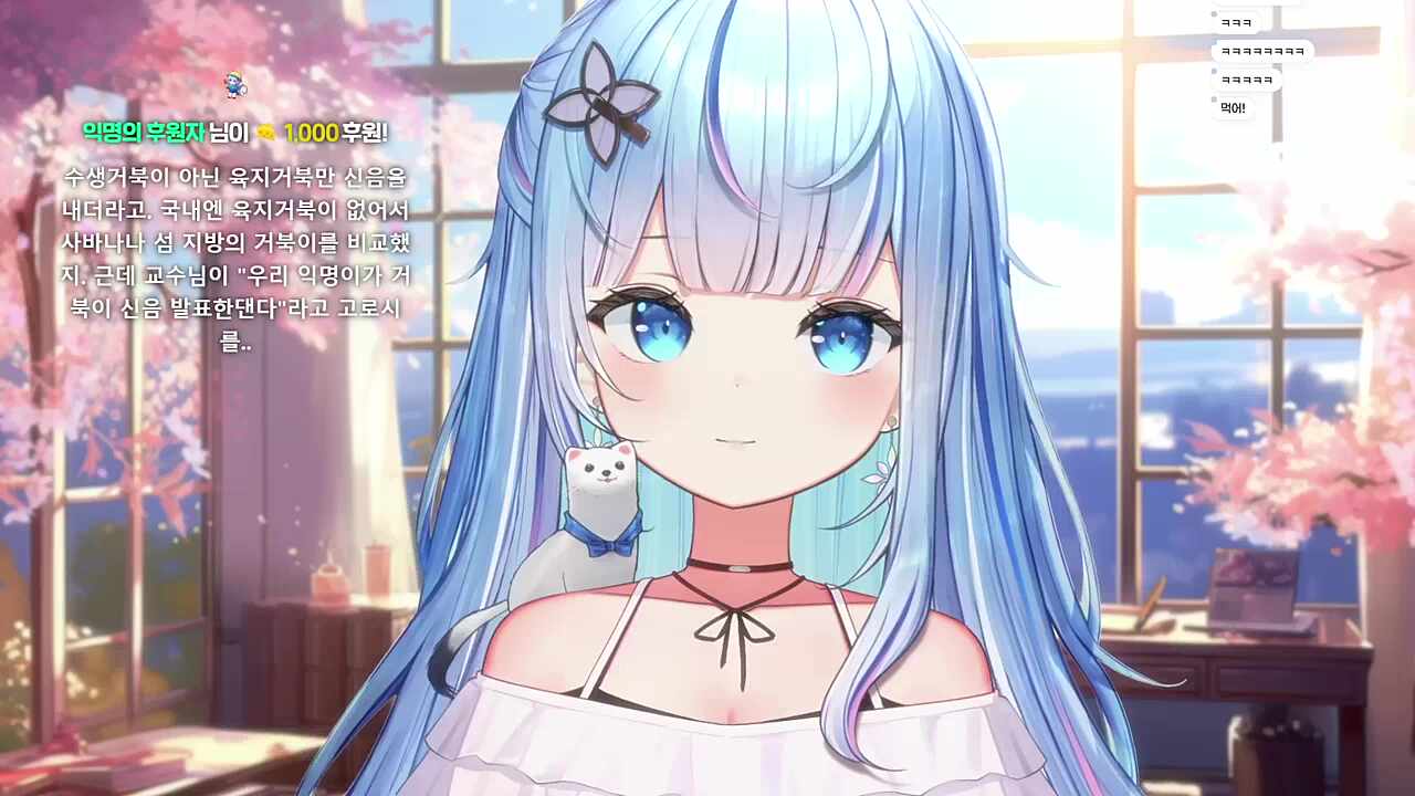 거북이 신음 발표