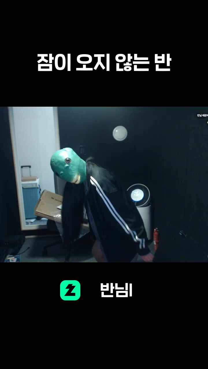 잠이 오지 않는 반