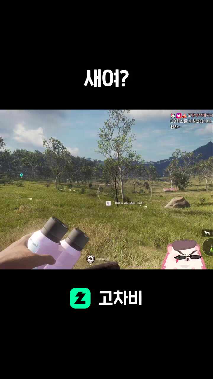 새여?