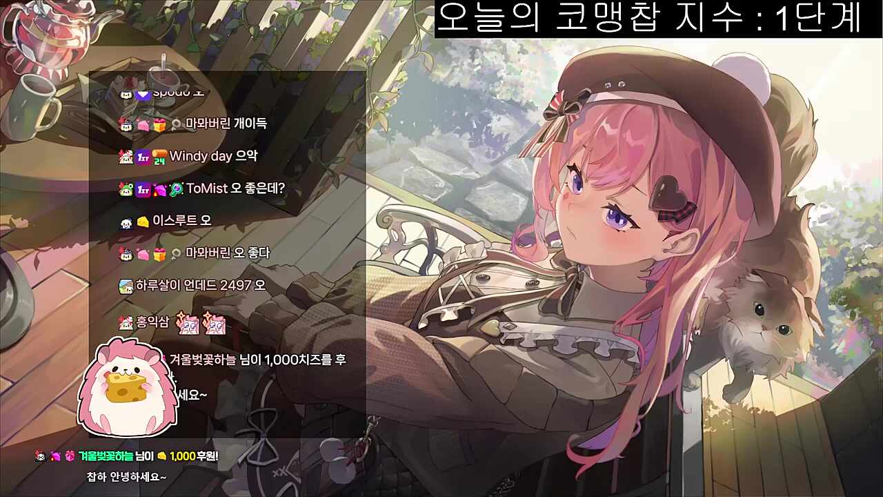 차비님 기타 연주