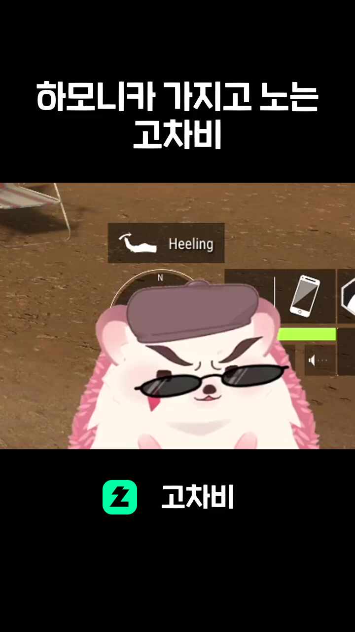 하모니카 가지고  노는 고차비