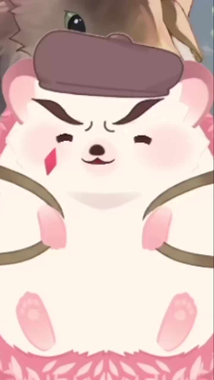 약간의 고민 상담 같은 대화