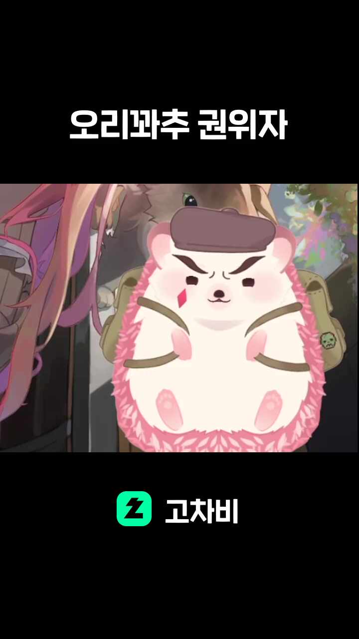 오리꽈추 권위자