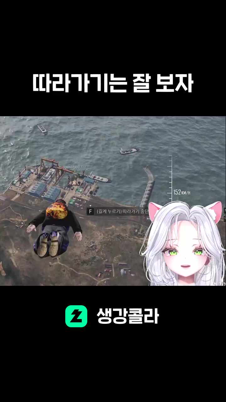 따라가기는 잘 보자