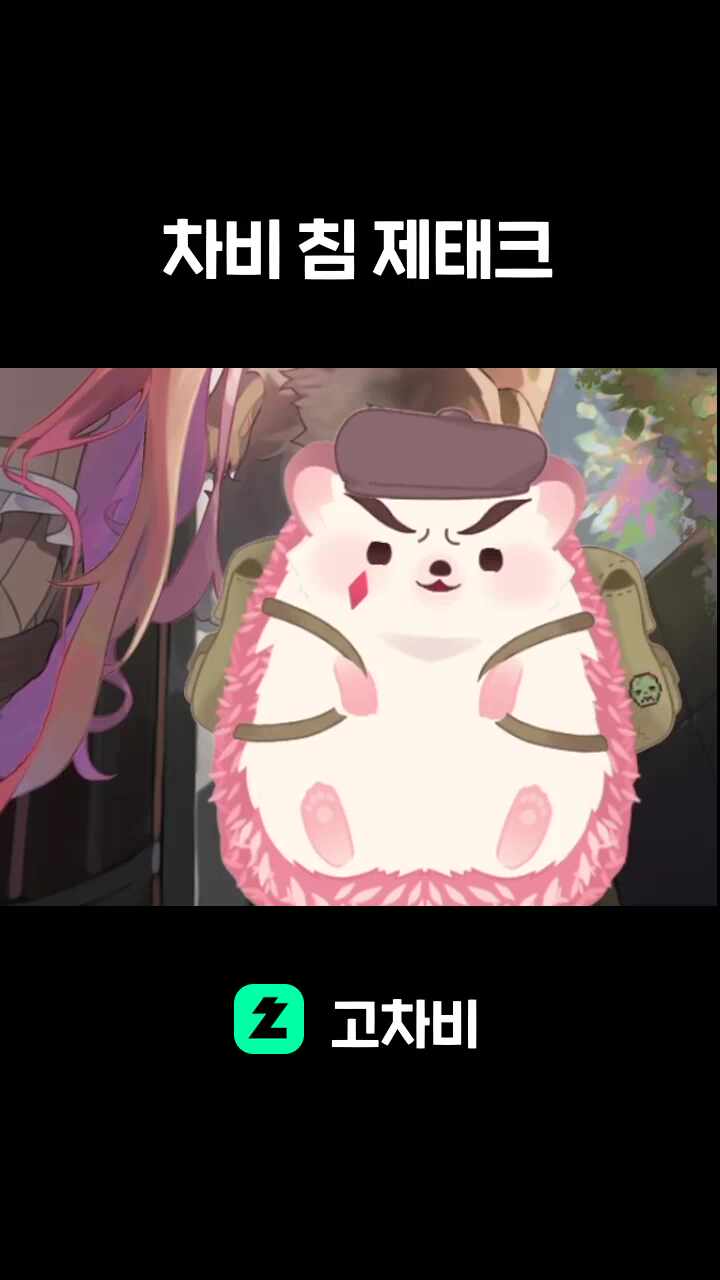 차비 침 제태크