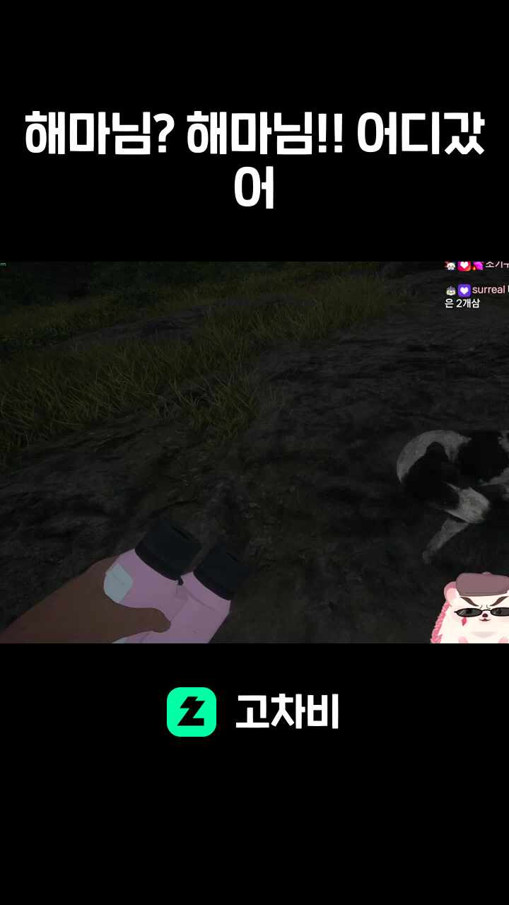 해마님? 해마님!! 어디갔어