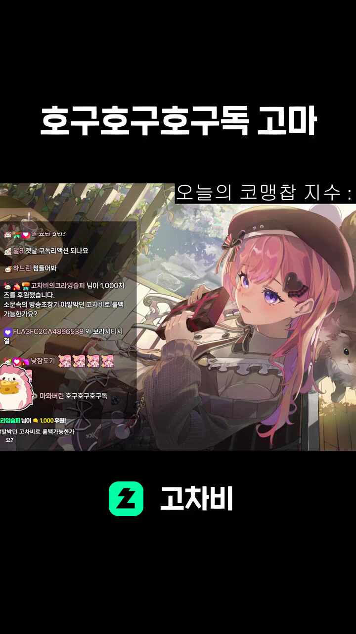 호구호구호구독 고마워
