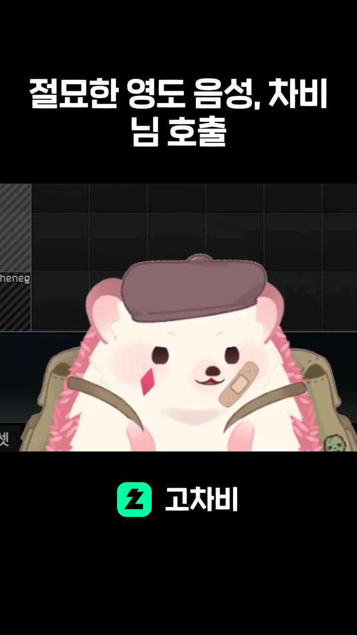 절묘한 영도 음성, 차비님 호출