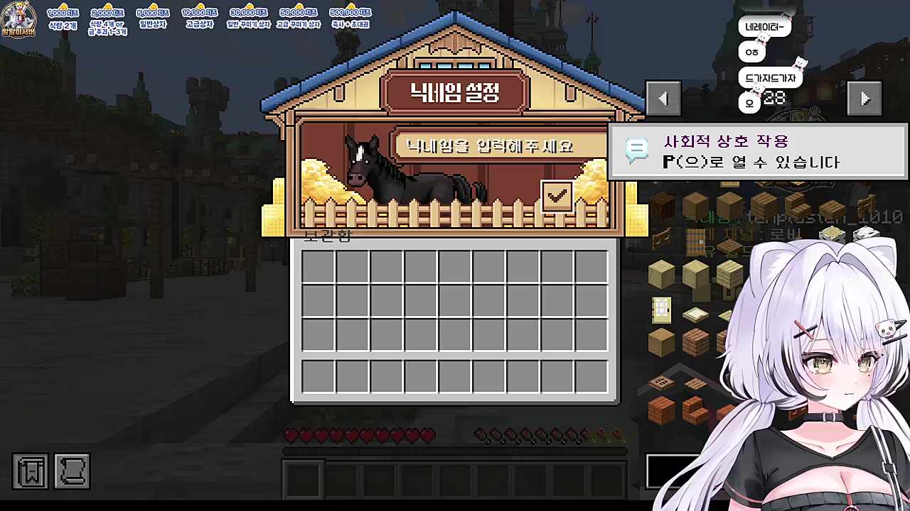 말말이서버 입성한 담비