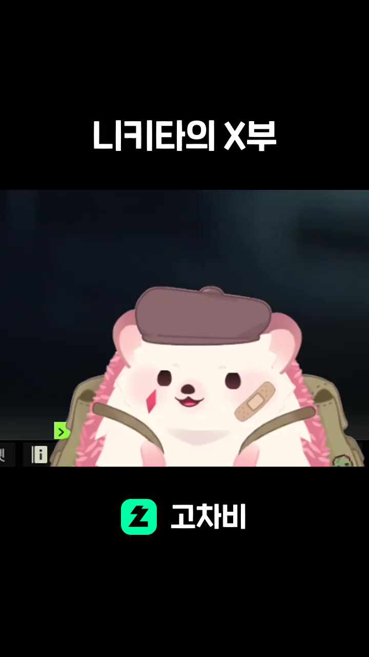 니키타의 X부