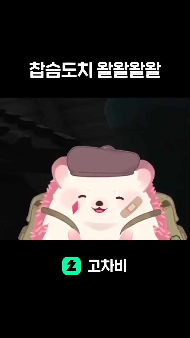 찹슴도치 왈왈왈왈