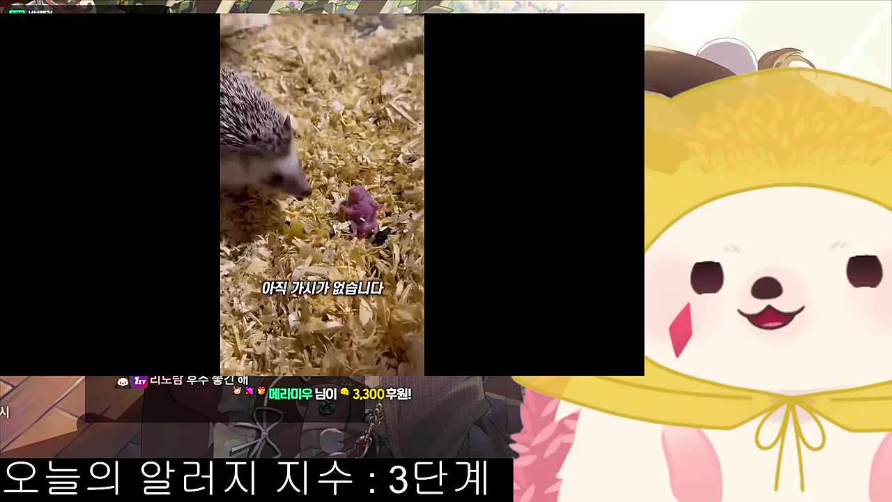청각 주의! 아악!