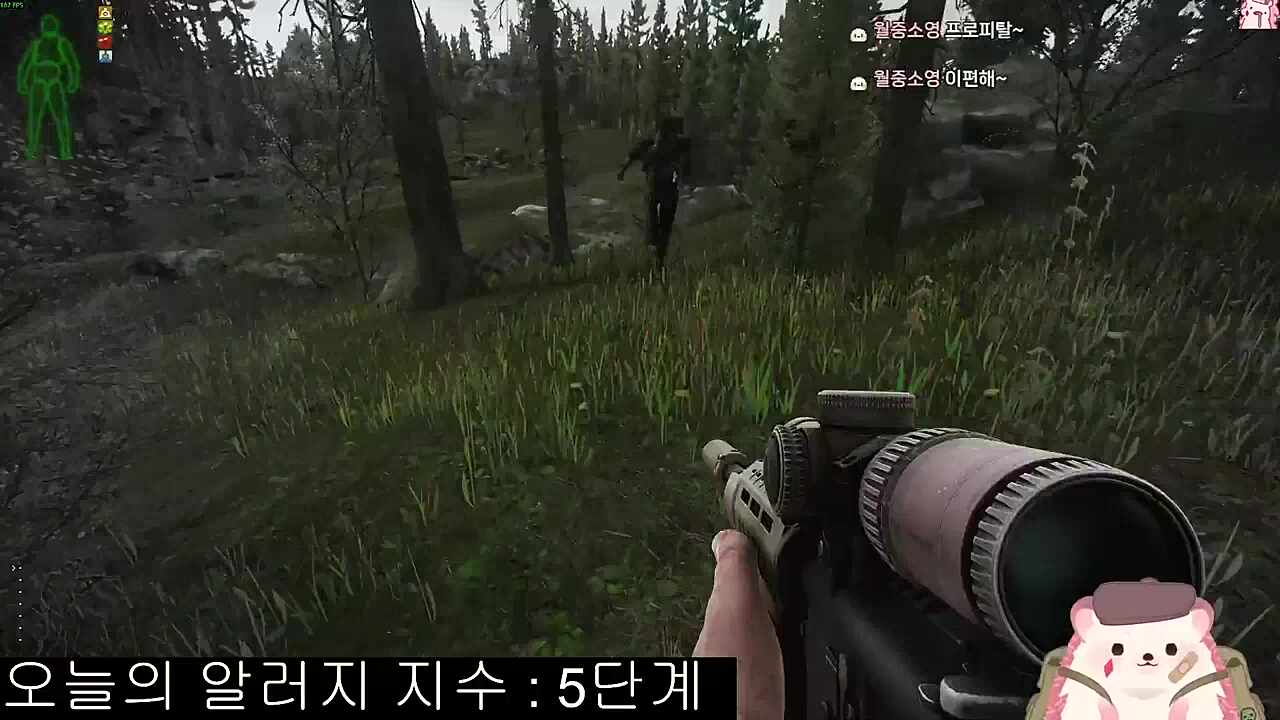 씨냥이