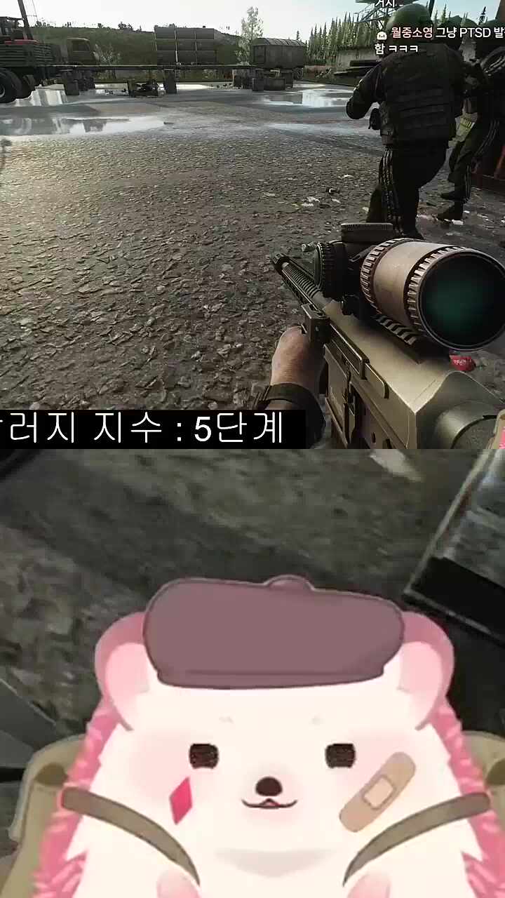 죽은척 (고개 기웃도 곁들인)