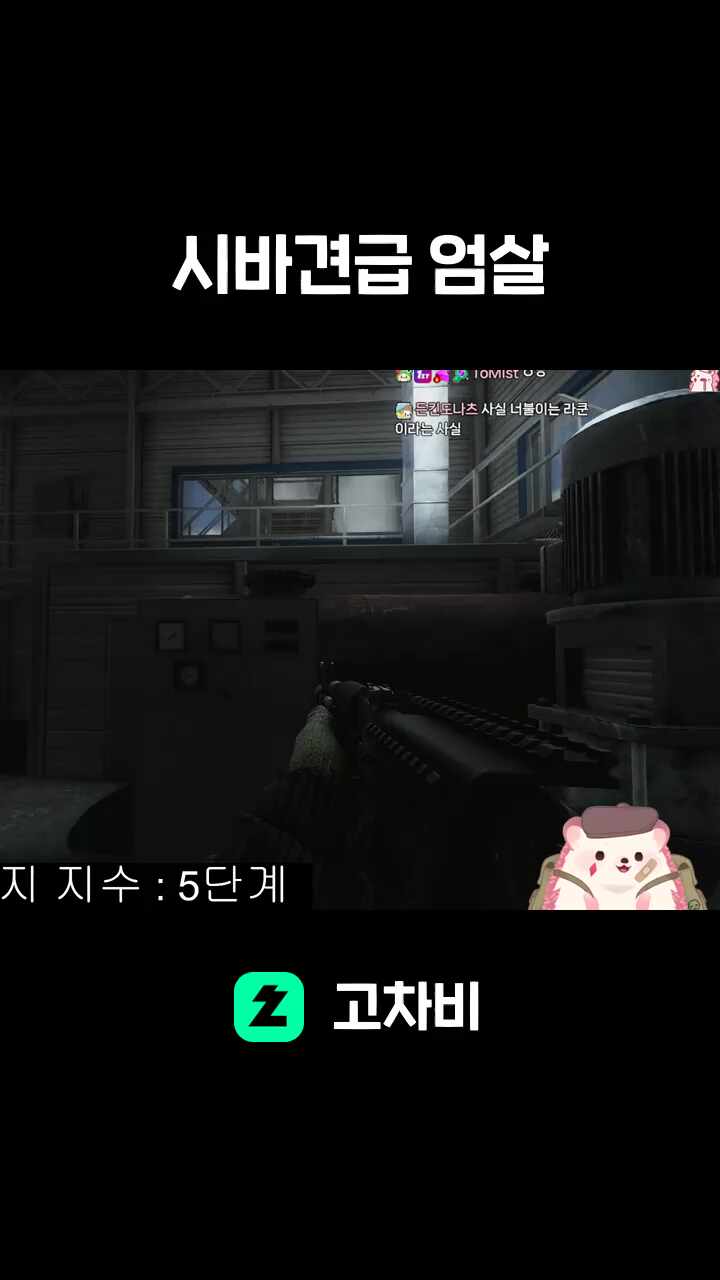시바견급 엄살