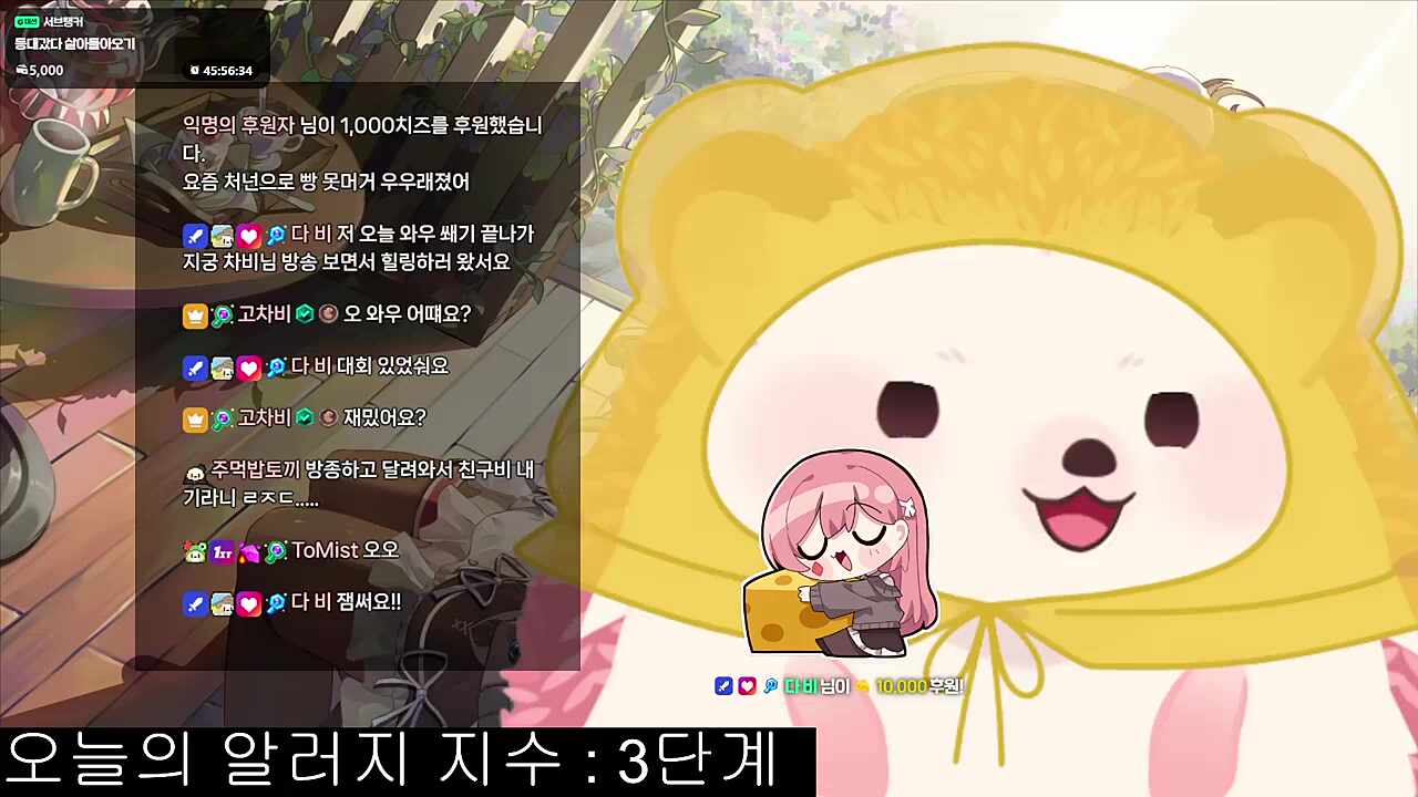 여스의 라이벌은 남스