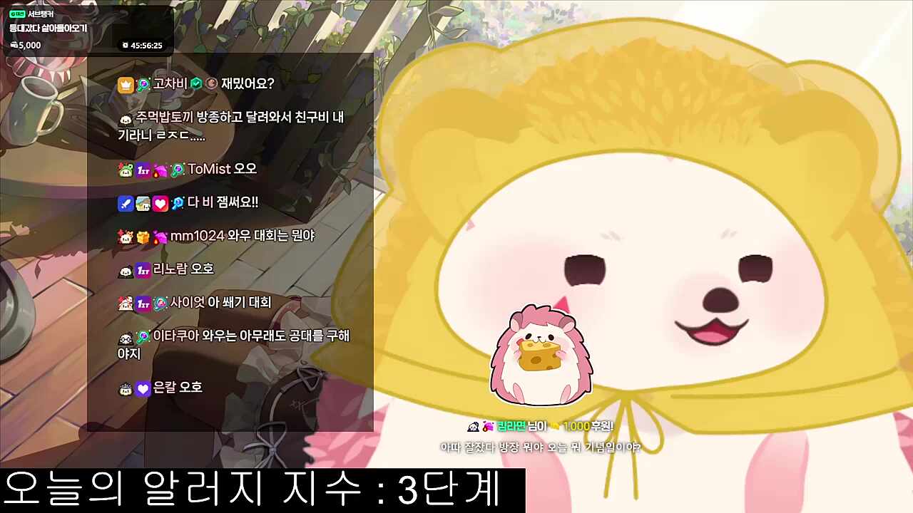 멋순이 조심해야해