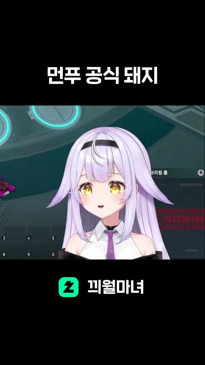 먼푸 공식 돼지