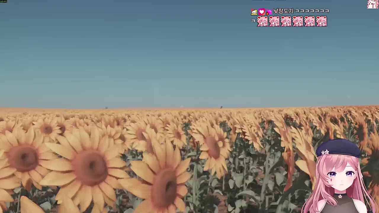 해바라기 밭을 걷는데..