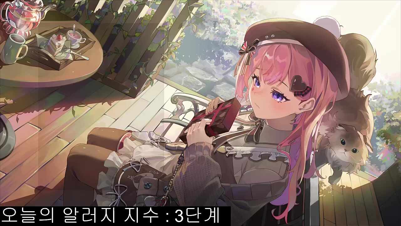 방송 시작