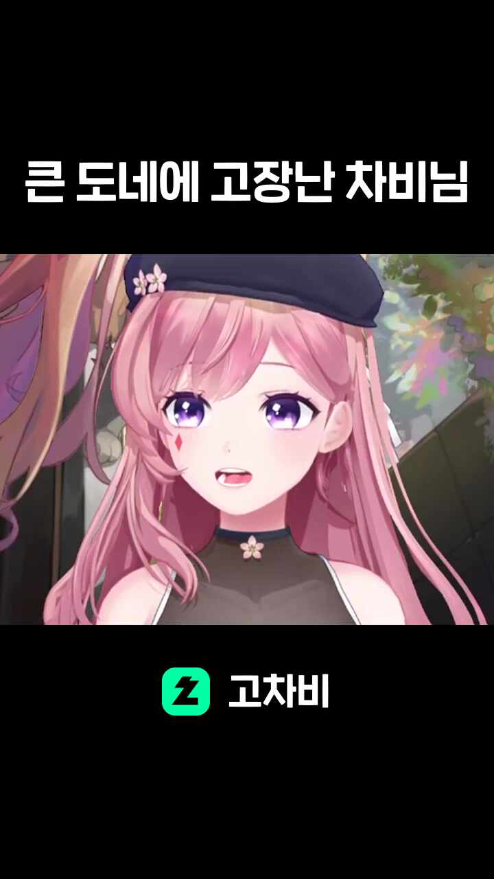 큰 도네에 고장난 차비님